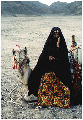 Cairo street Scene Photo