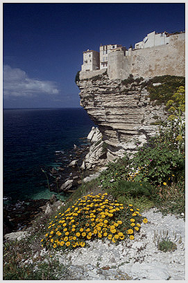 Corsica Photo